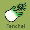Fenchel