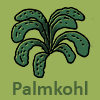 Palmkohl