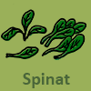Spinat