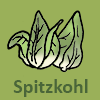 Spitzkohl