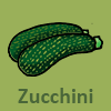 Zucchini